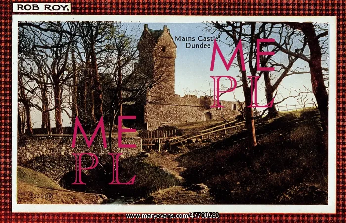 : Mains Castle, Dundee, Scotland : Mains Castle, Dundee, Scotland