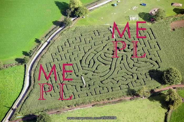 : Maize Maze : Maize Maze