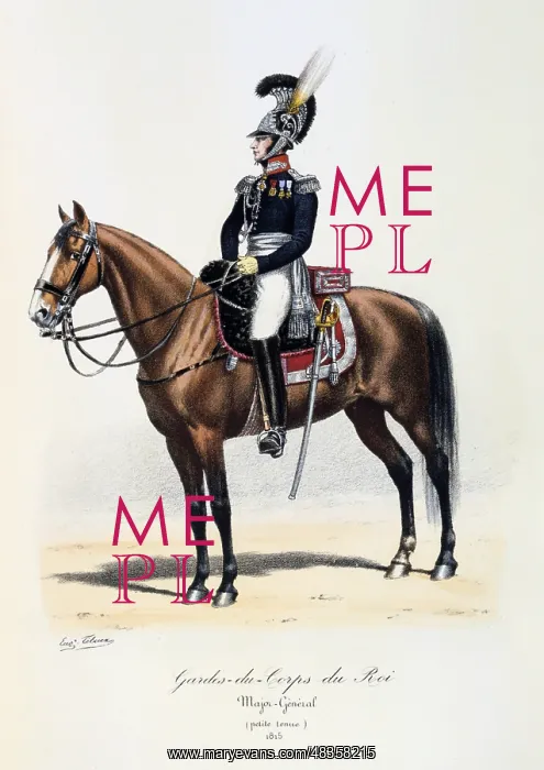 : Major General of the King's guard, 1815. From : Major General of the King's guard, 1815. From