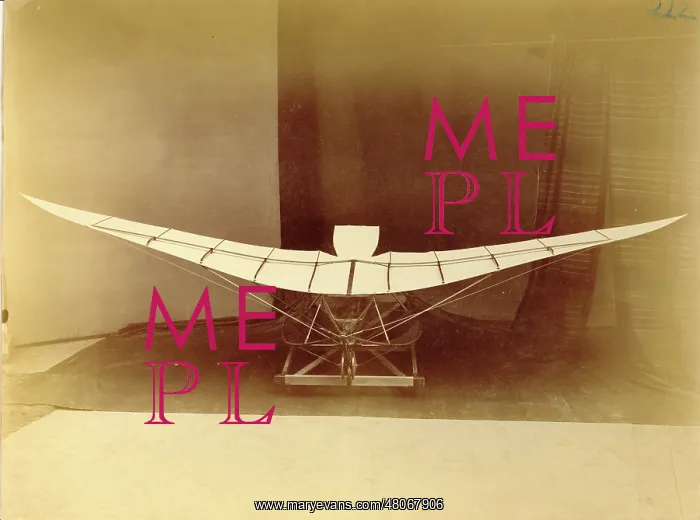 : Major R F Moore's monoplane model : Major R F Moore's monoplane model