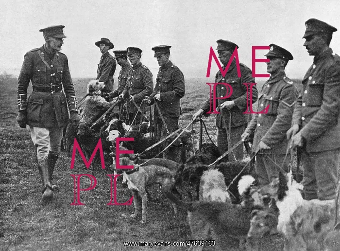 : Major Richardson and his messenger dogs : Major Richardson and his messenger dogs