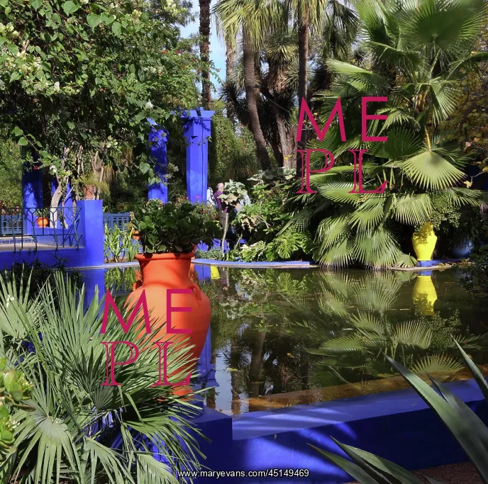 : Majorelle Garden, Marrakech, Morocco : Majorelle Garden, Marrakech, Morocco