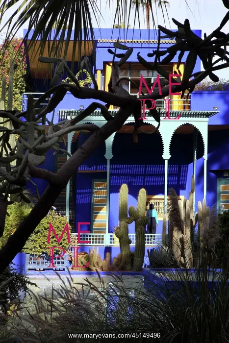 : Majorelle Garden, Marrakech, Morocco : Majorelle Garden, Marrakech, Morocco