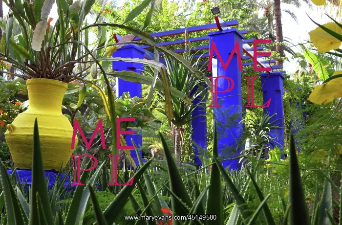 : Majorelle Garden, Marrakech, Morocco : Majorelle Garden, Marrakech, Morocco