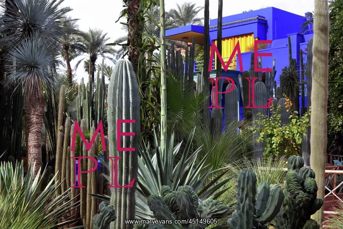 : Majorelle Garden, Marrakech, Morocco : Majorelle Garden, Marrakech, Morocco