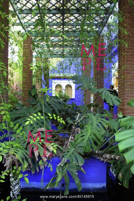: Majorelle Garden, Marrakech, Morocco : Majorelle Garden, Marrakech, Morocco