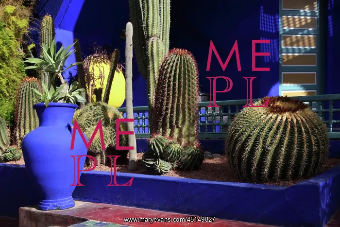 : Majorelle Garden, Marrakech, Morocco : Majorelle Garden, Marrakech, Morocco