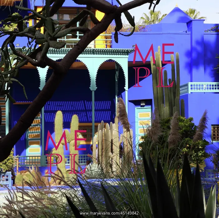 : Majorelle Garden, Marrakech, Morocco : Majorelle Garden, Marrakech, Morocco
