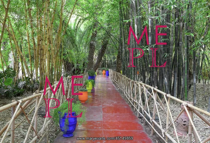 : Majorelle Garden, Marrakech, Morocco : Majorelle Garden, Marrakech, Morocco