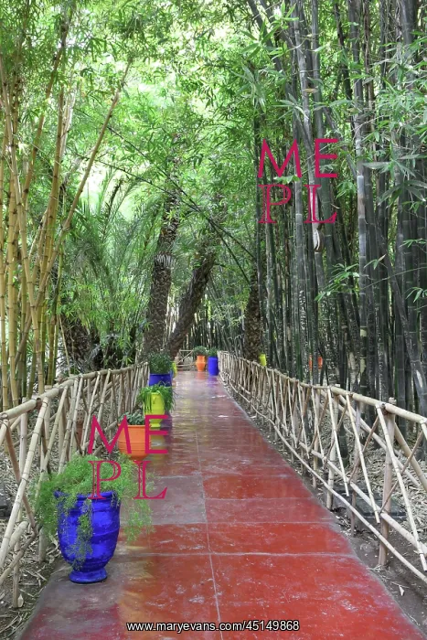 : Majorelle Garden, Marrakech, Morocco : Majorelle Garden, Marrakech, Morocco
