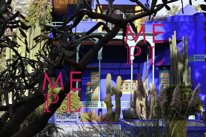 : Majorelle Garden, Marrakech, Morocco : Majorelle Garden, Marrakech, Morocco