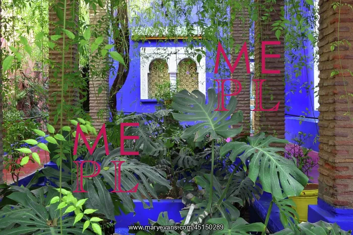 : Majorelle Garden, Marrakech, Morocco : Majorelle Garden, Marrakech, Morocco