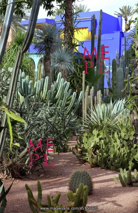 : Majorelle Garden, Marrakech, Morocco : Majorelle Garden, Marrakech, Morocco