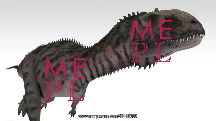 : Majungasaurus dinosaur, white background : Majungasaurus dinosaur, white background
