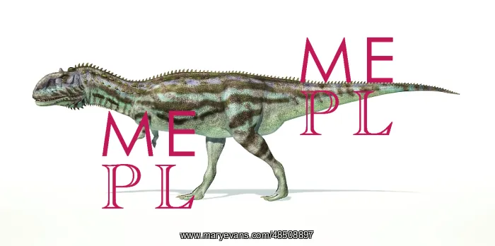 : Majungasaurus dinosaur on white background : Majungasaurus dinosaur on white background