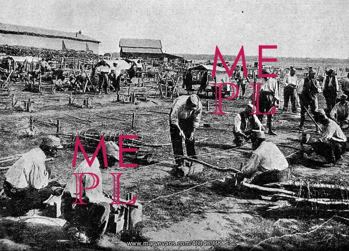: Making barbed wire entanglements : Making barbed wire entanglements