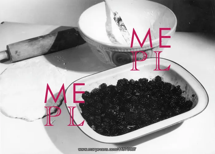 : MAKING A BLACKBERRY PIE : MAKING A BLACKBERRY PIE