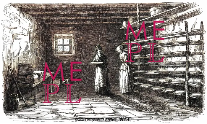  : MAKING BRIE 1854