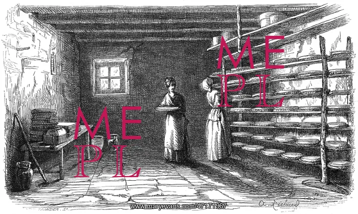  : MAKING BRIE 1854