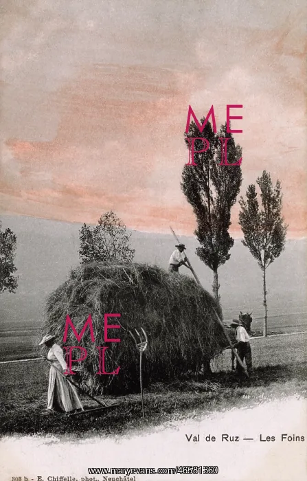  : Making Hay whilst the sun shines in Switzerland