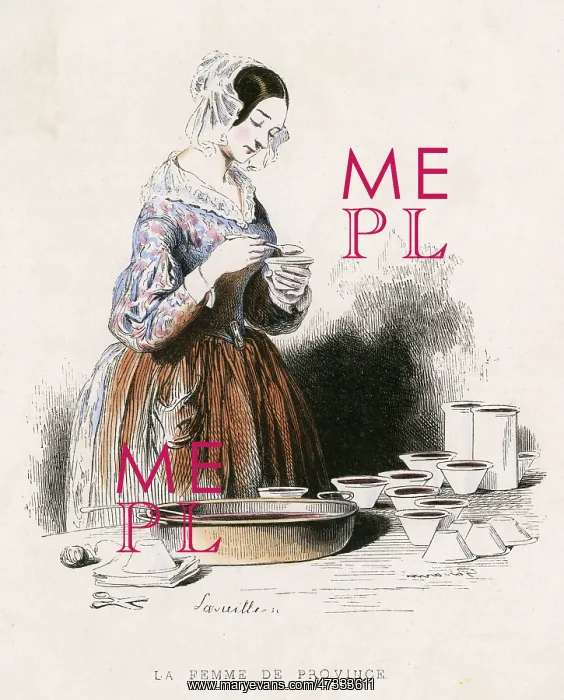 : MAKING PRESERVES 1851 : MAKING PRESERVES 1851