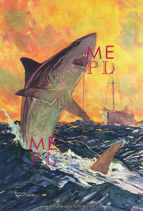 : A Mako Shark Hooked : A Mako Shark Hooked