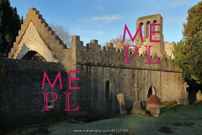 : Malahide Abbey, County Dublin, Ireland : Malahide Abbey, County Dublin, Ireland