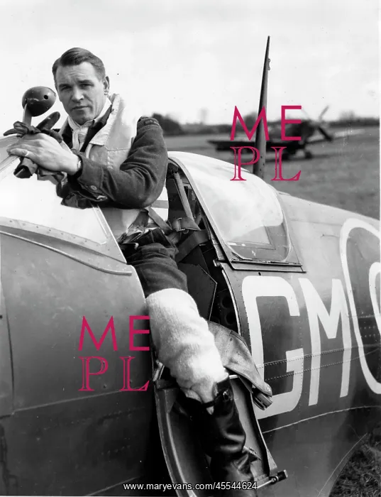  : Malan, AG Sailor, Grp Capt and Spitfire