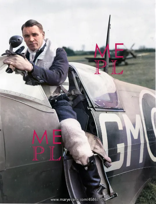  : Malan, AG Sailor, Grp Capt and Spitfire