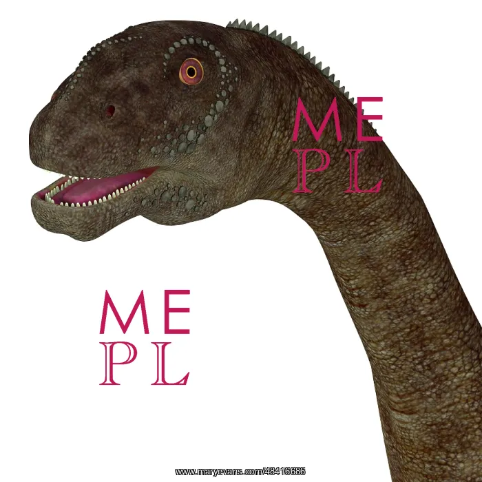: Malawisaurus dinosaur head : Malawisaurus dinosaur head