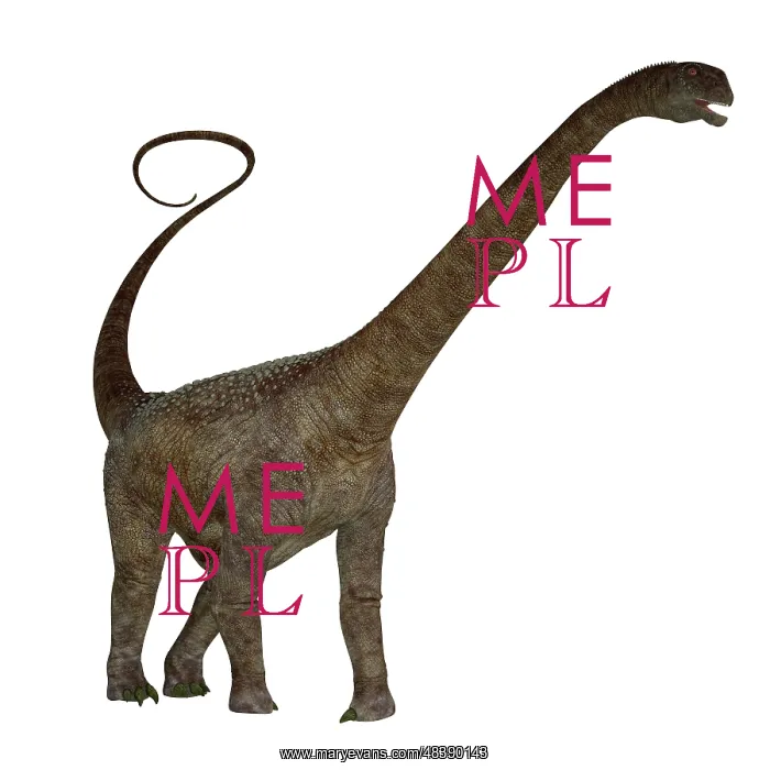 : Malawisaurus dinosaur on white background : Malawisaurus dinosaur on white background