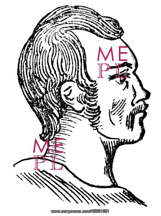 : Malay, phrenological portrait, 1902 : Malay, phrenological portrait, 1902