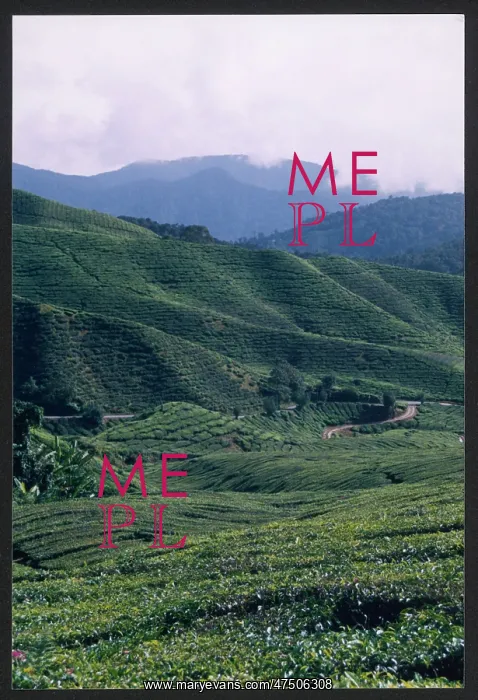  : MALAYSIA / CAMERON 1999