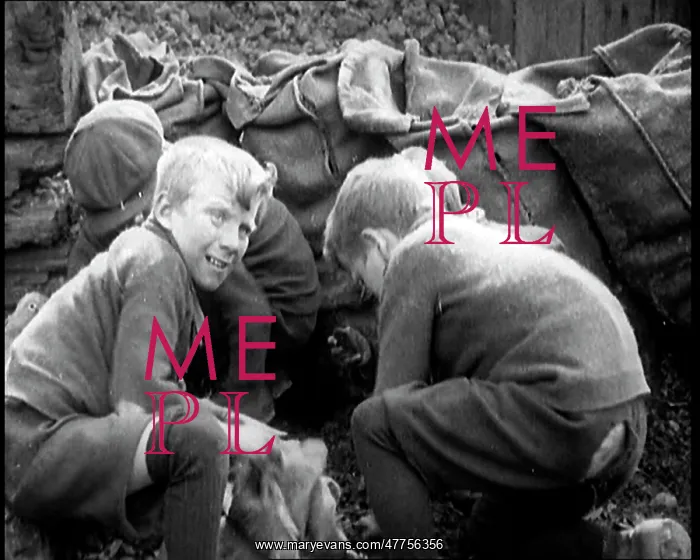 : Male Children Picking Through Small Heaps of : Male Children Picking Through Small Heaps of