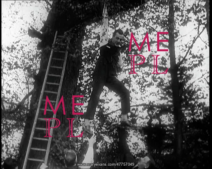 : Male Civilian Clings to a Tree After Falling : Male Civilian Clings to a Tree After Falling