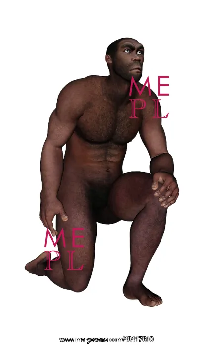 : Male homo erectus kneeling : Male homo erectus kneeling