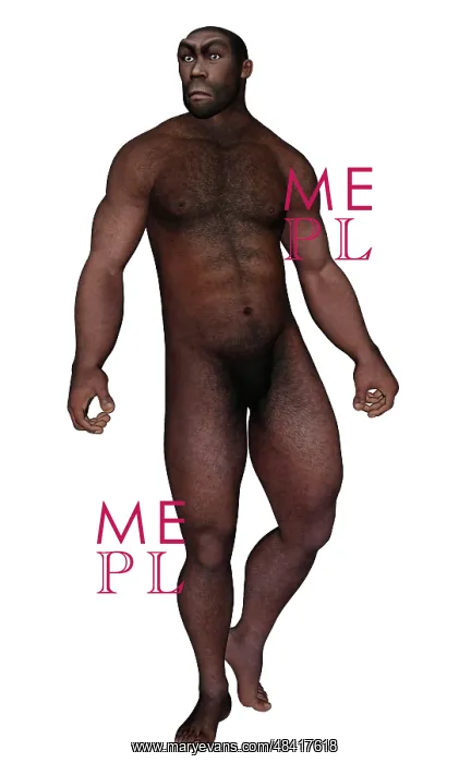 : Male homo erectus looking aside : Male homo erectus looking aside