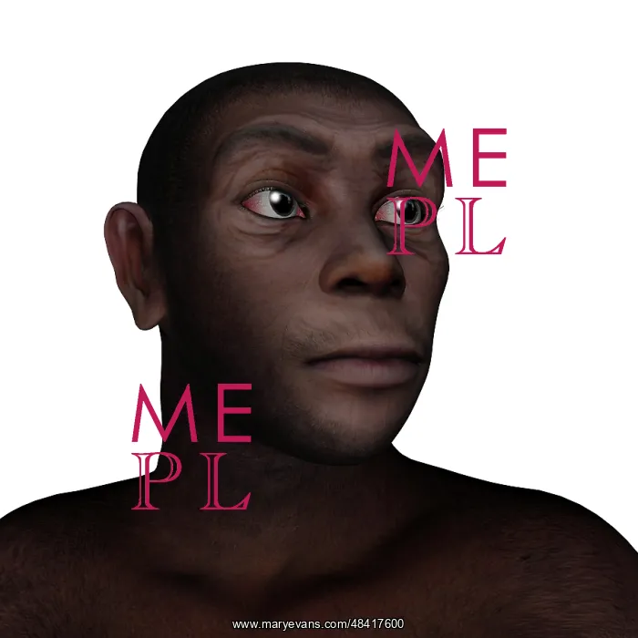 : Male homo erectus portrait : Male homo erectus portrait