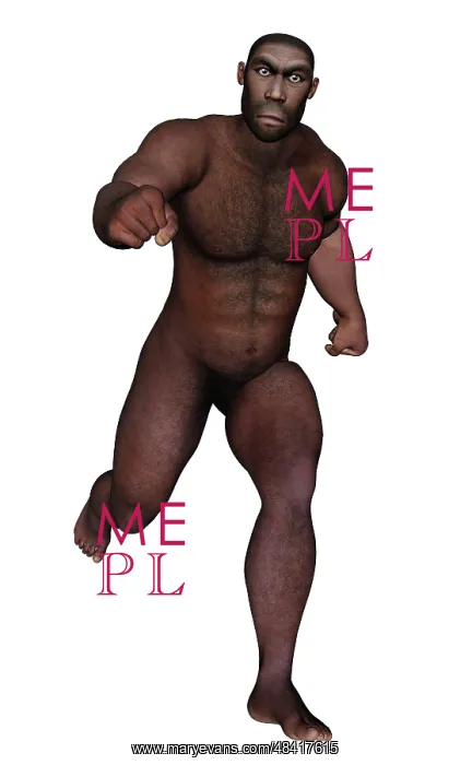 : Male homo erectus running : Male homo erectus running