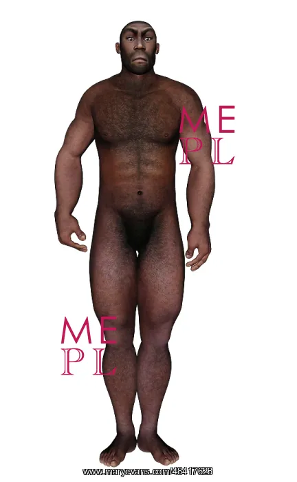 : Male homo erectus standing : Male homo erectus standing