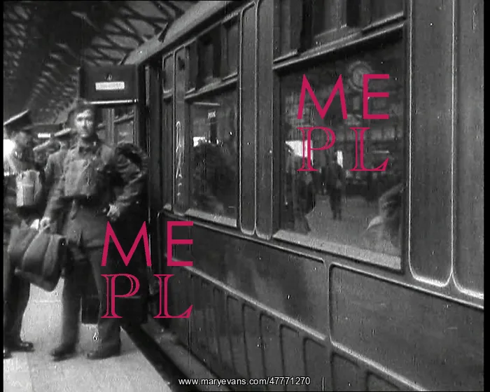 : Male Members of the British Expeditionary Force : Male Members of the British Expeditionary Force