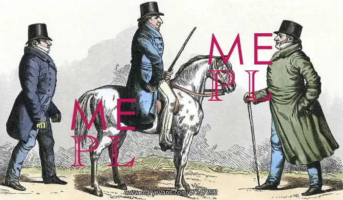 : MALE TYPE / 3 DANDIES 1820 : MALE TYPE / 3 DANDIES 1820