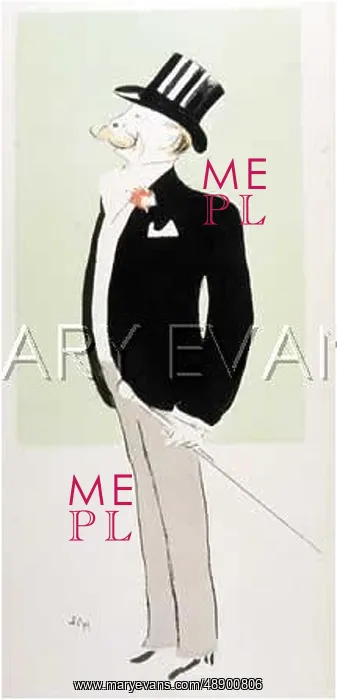  : MALE TYPE / FRENCH ARISTO