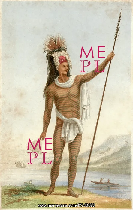: MALE TYPE / NOBLE SAVAGE : MALE TYPE / NOBLE SAVAGE