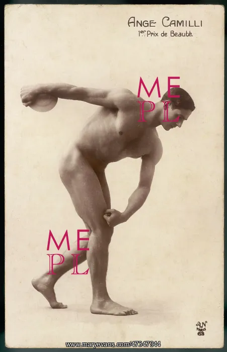 : MALE TYPE / NUDE CAMILLI : MALE TYPE / NUDE CAMILLI
