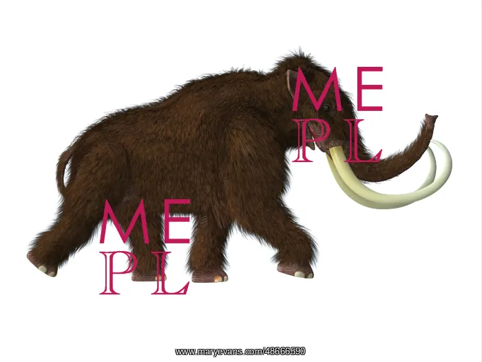 : A male woolly mammoth, side view on white background : A male woolly mammoth, side view on white background