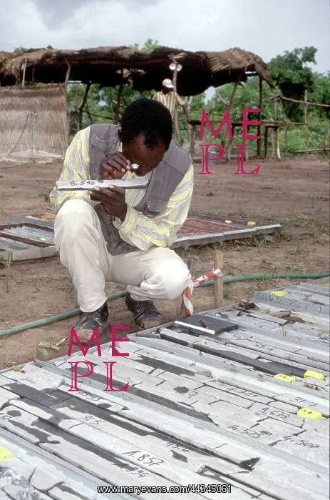 : A Malian geologist examines rock samples : A Malian geologist examines rock samples