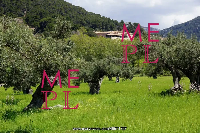 : Mallorca, Spain, Valldemossa - Farmhouse : Mallorca, Spain, Valldemossa - Farmhouse