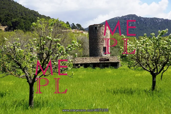 : Mallorca, Spain, Valldemossa - old windmill tower : Mallorca, Spain, Valldemossa - old windmill tower