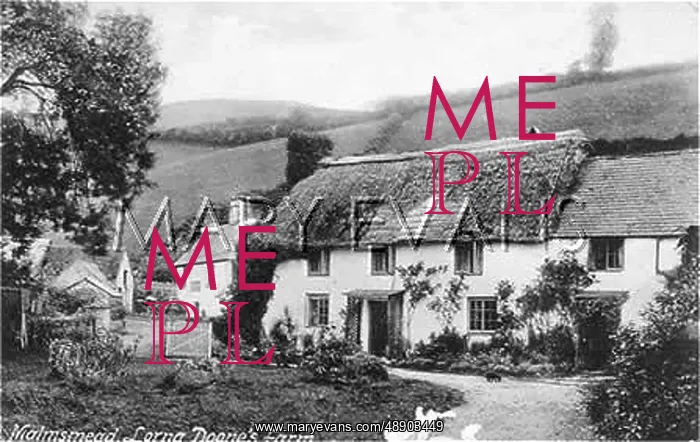 : MALMSMEAD FARM / C19TH : MALMSMEAD FARM / C19TH